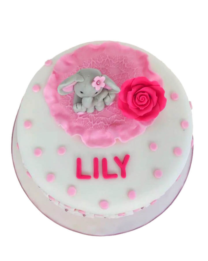 Small elephant cake for christening