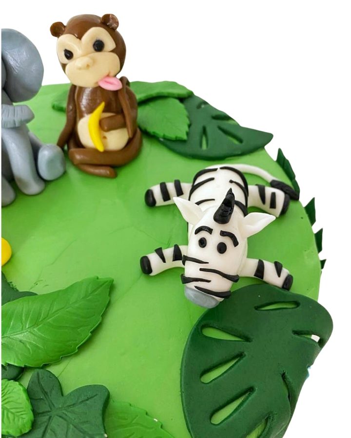 christening cakes dublin with zebra