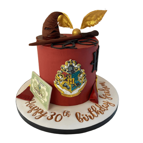 Harry Potter Cake in Dublin
