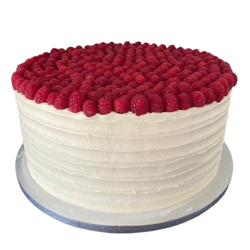 new trend single tier raspberry wedding cake